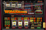 Online gokkasten spelen - Wild Stars
